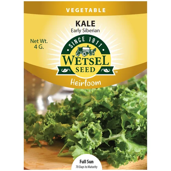Kale, Heirloom Early Siberian 4 Grams