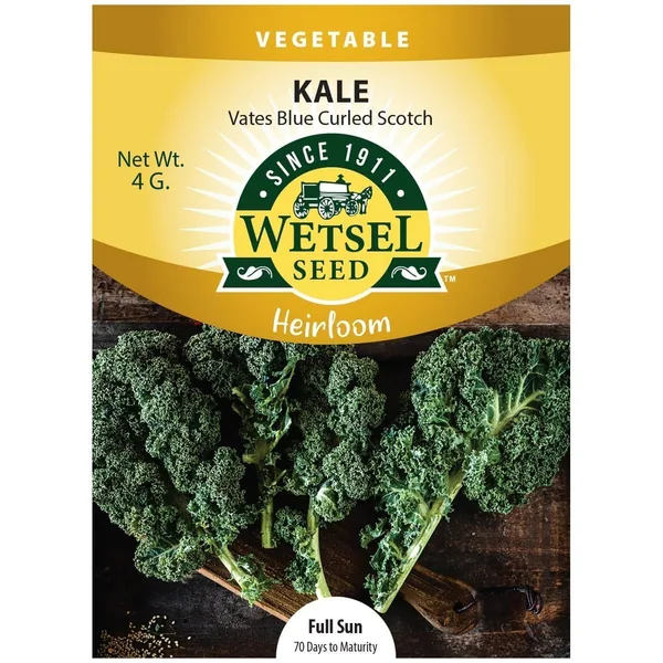 Kale, Heirloom Vates Blue Curled 4 Grams