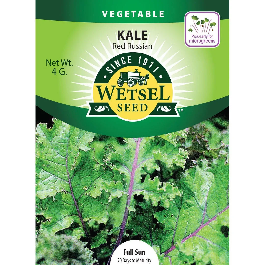 Kale, Organic Red Russian 3 Grams - Image 2