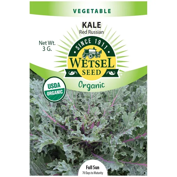 Kale, Organic Red Russian 3 Grams