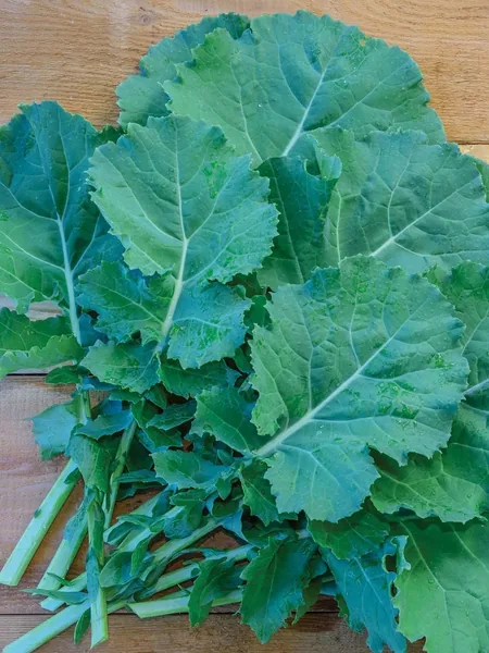 Kale, Premier 1/2oz