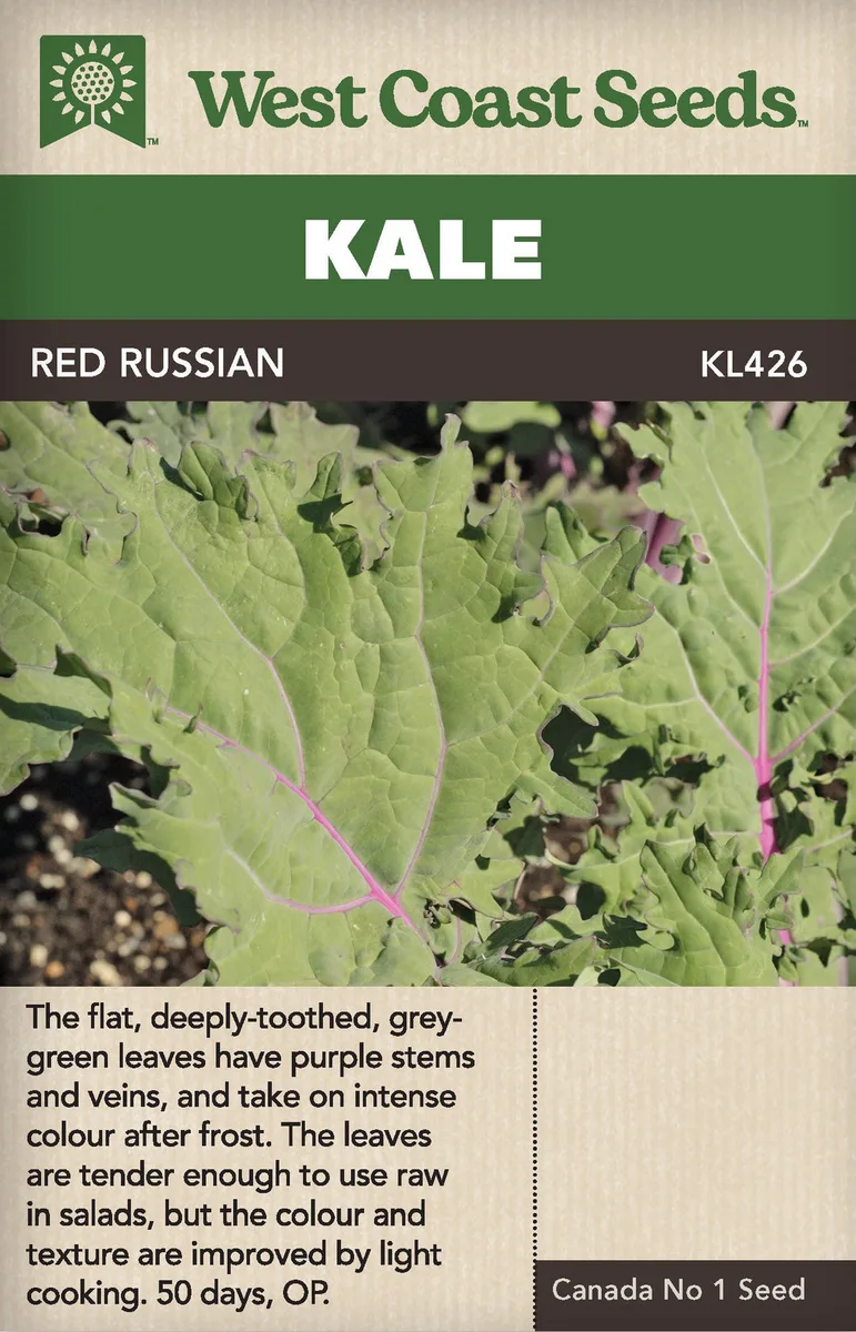 Kale, Red Russian 1/2oz - Image 2