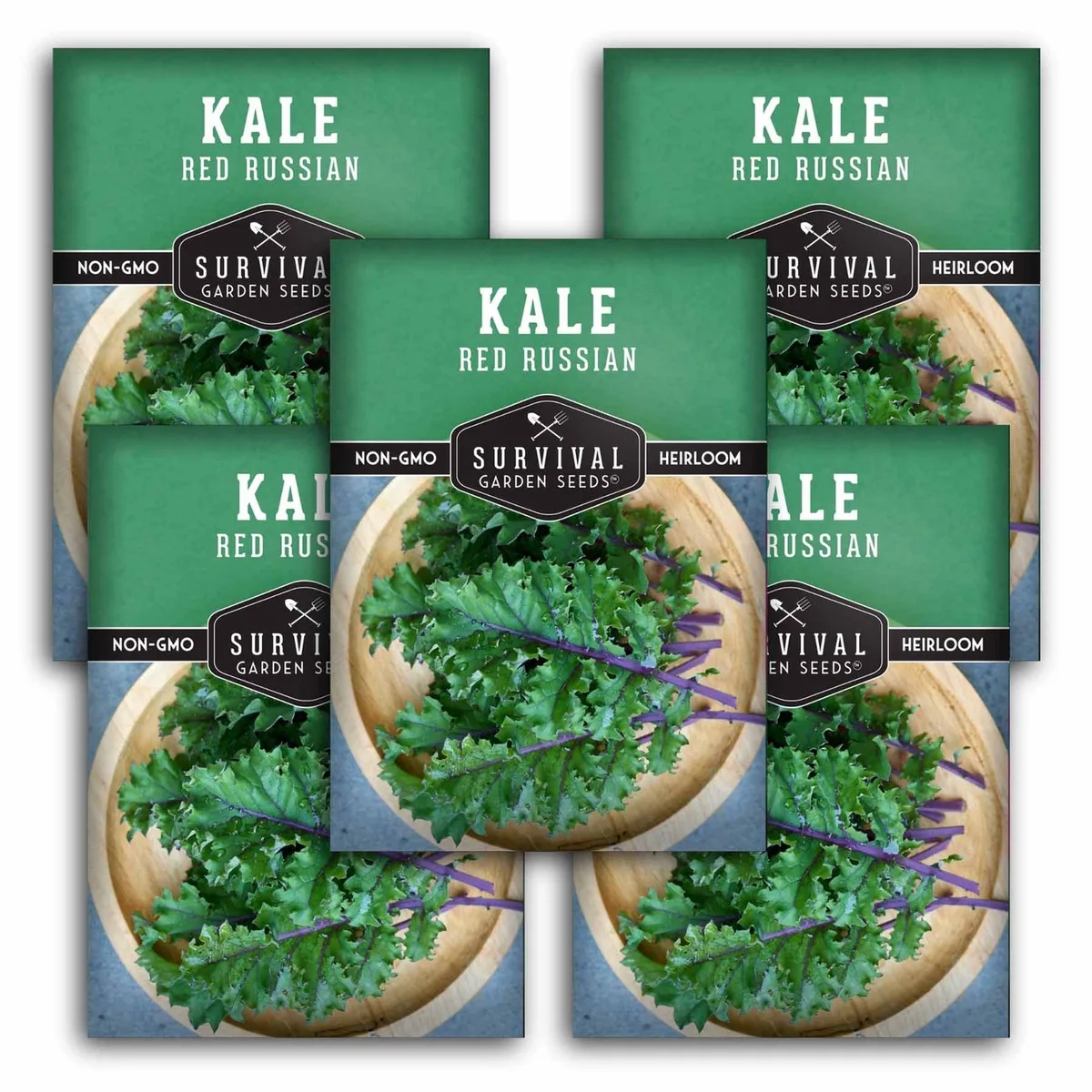 Kale, Red Russian Kale 4 Grams - Image 2