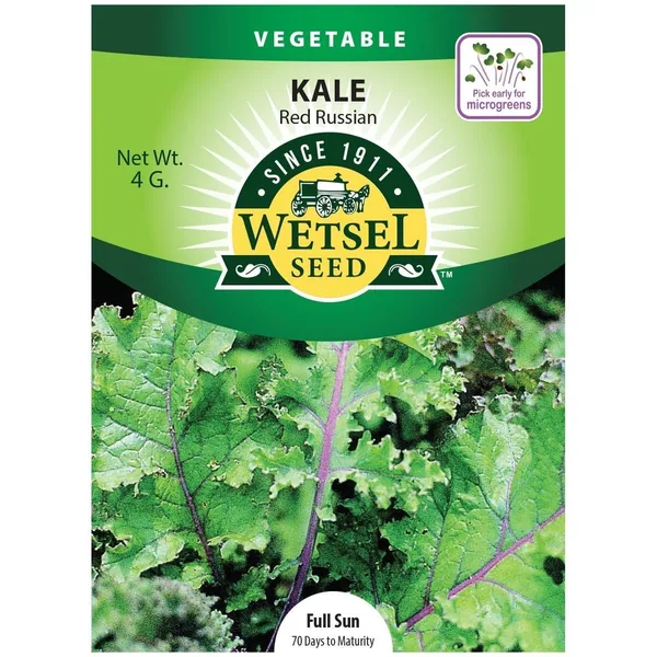 Kale, Red Russian Kale 4 Grams