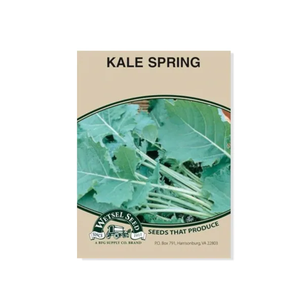Kale, Tall Spring 1/2oz