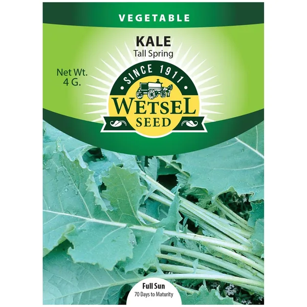 Kale, Tall Spring 4 Grams