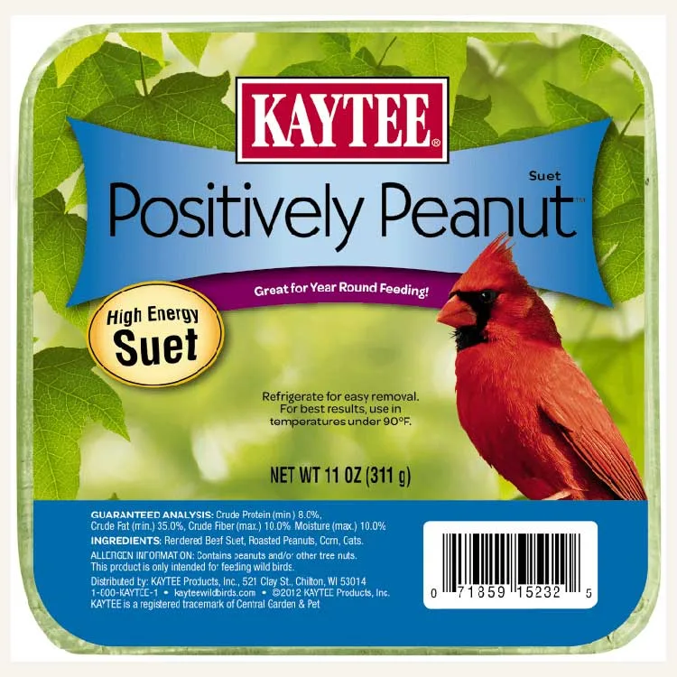 Kaytee 11oz Positively Peanut Suet - Image 2