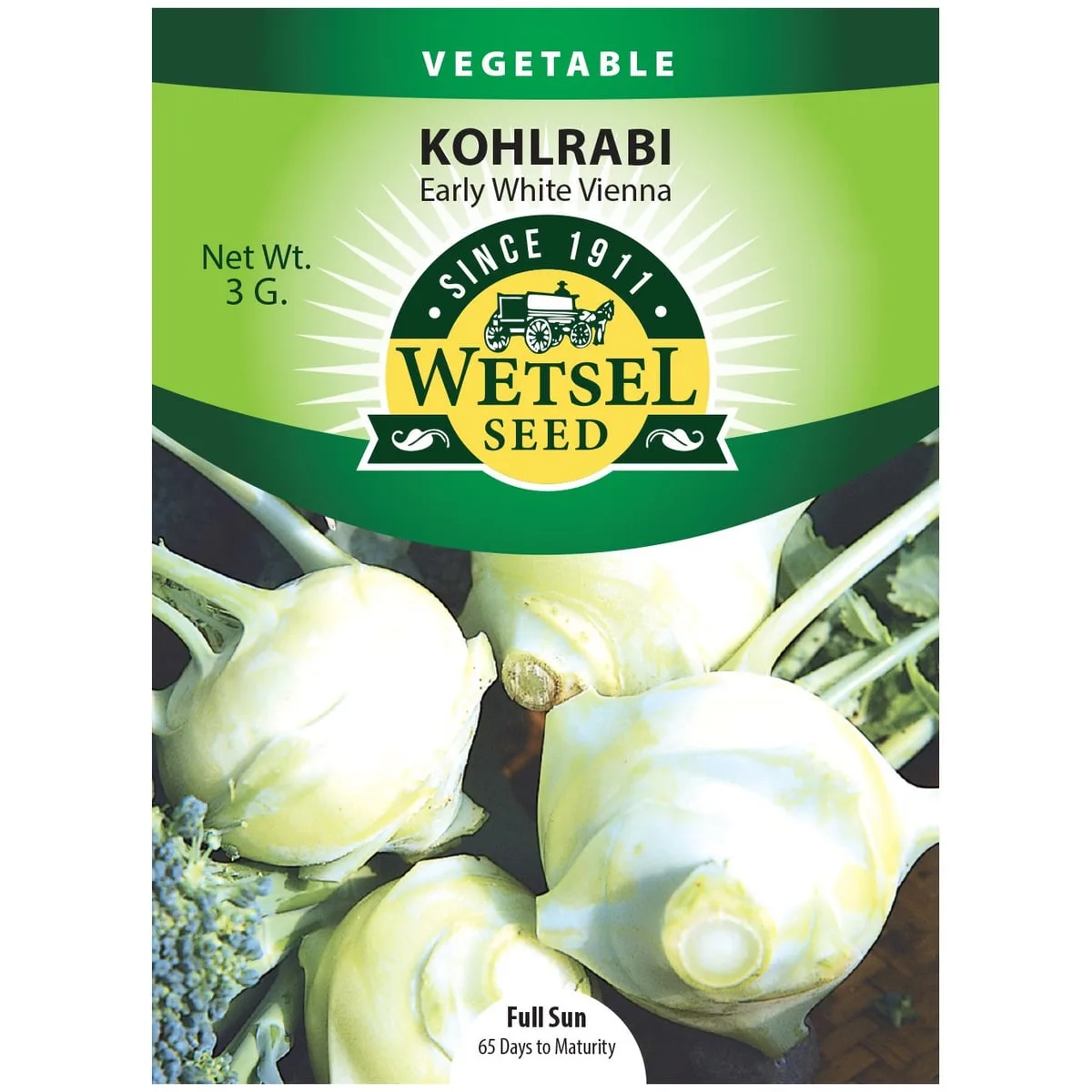 Kohlrabi, Early White Vienna 3 Grams - Image 2