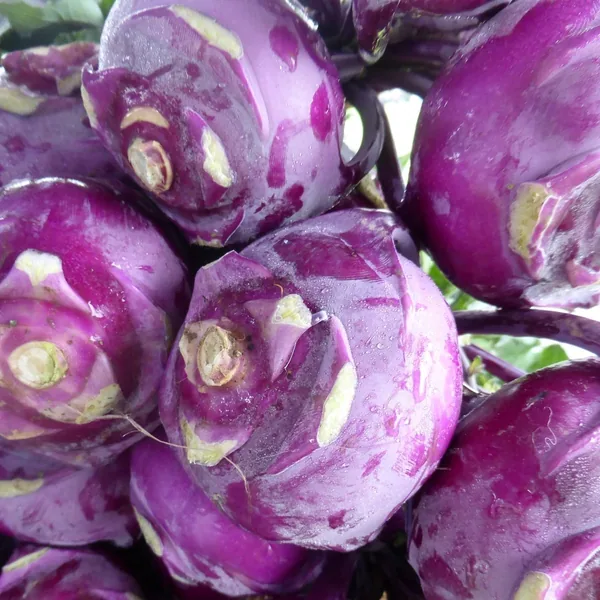 Kohlrabi, Purple Vienna 1/2oz