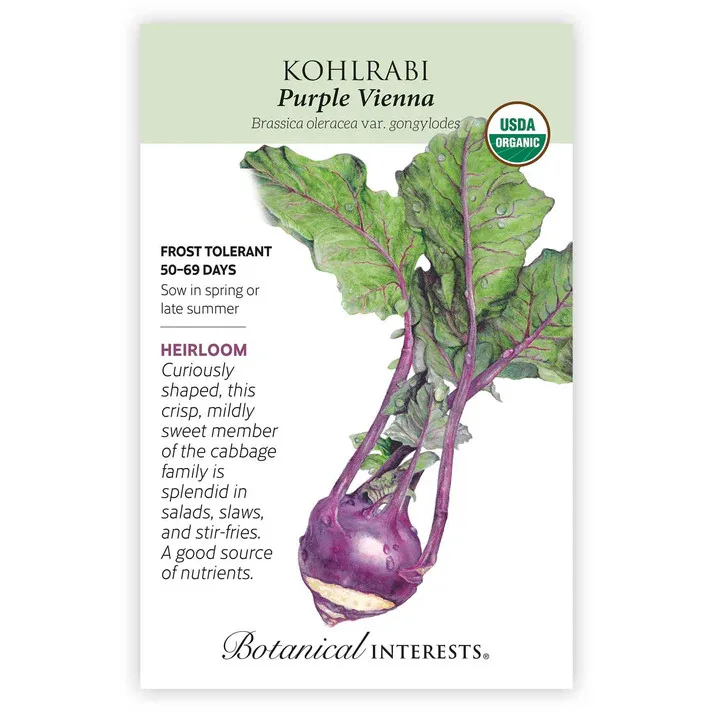 Kohlrabi, Purple Vienna 3 Grams - Image 2