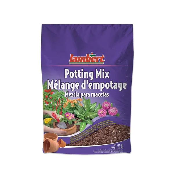 Lambert 4qt All Purpose Potting Mix