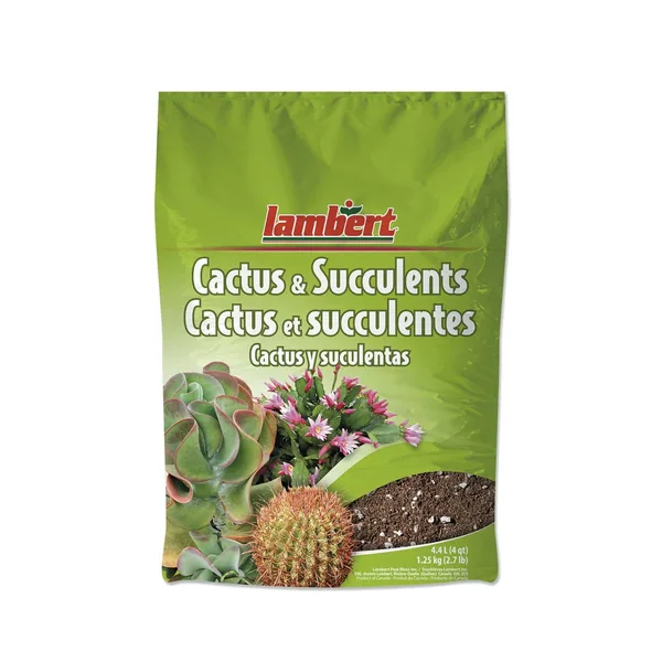 Lambert 4qt Cacti & Succulent (Case of 12)