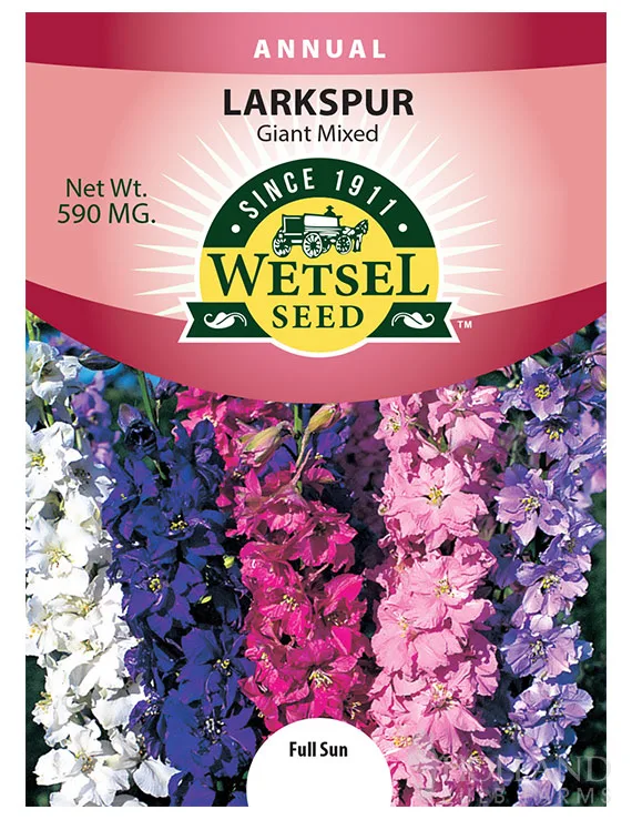Larkspur, Giant Mixed 590mg - Image 2