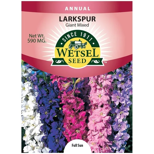 Larkspur, Giant Mixed 590mg