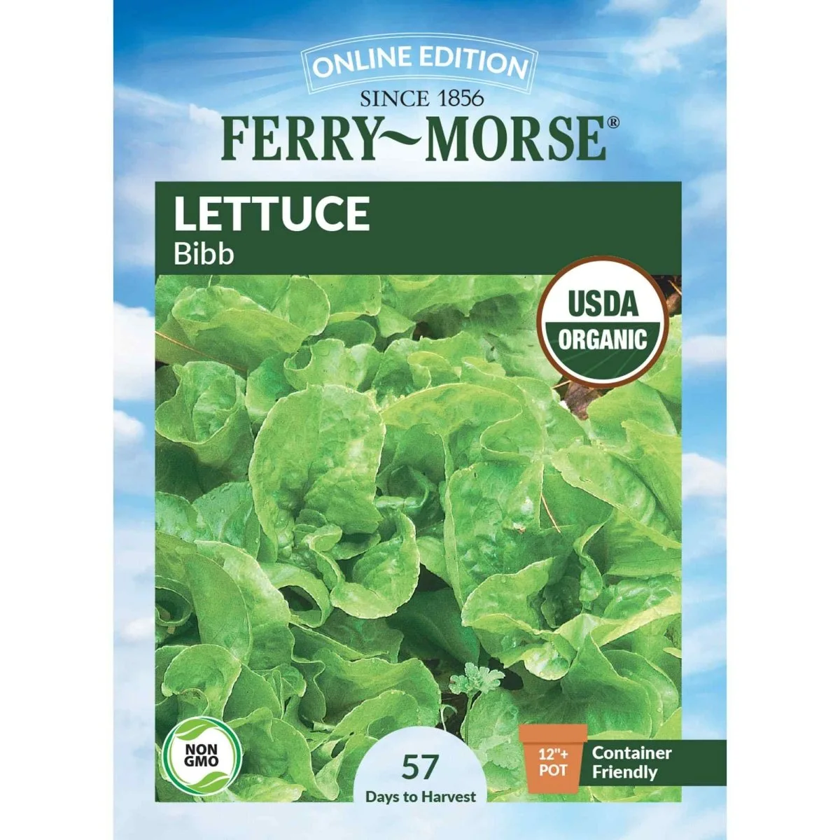 Lettuce, Bibb 3 Grams - Image 2