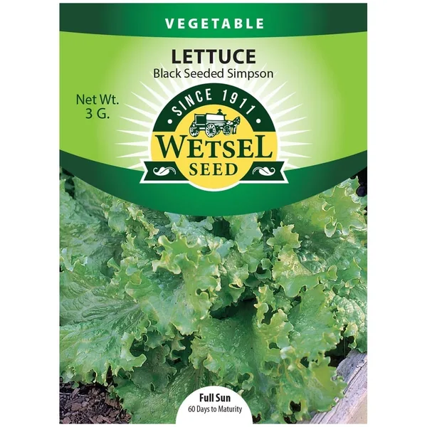 Lettuce, Black Seeded Simpson 3 Grams