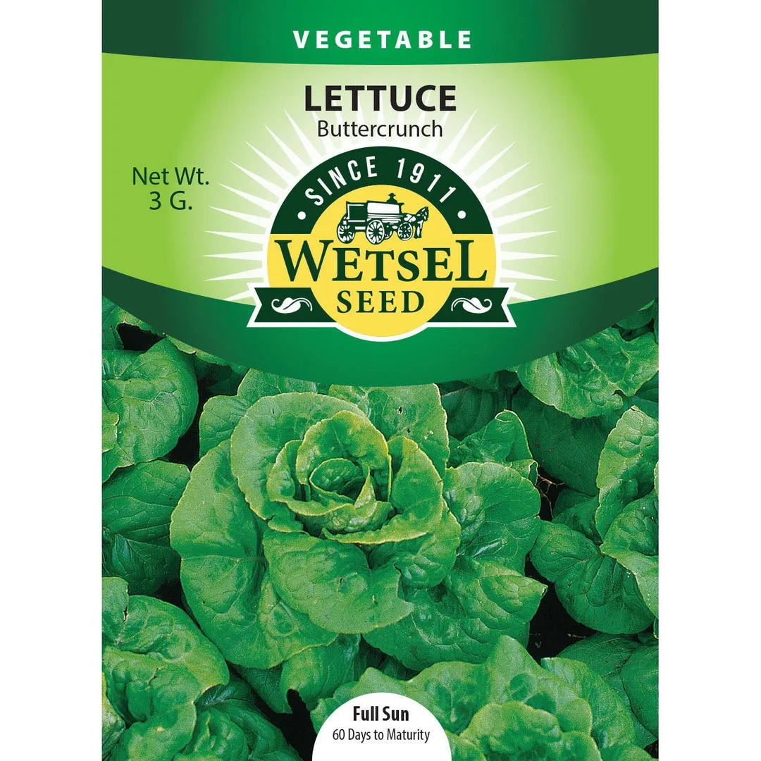 Lettuce, Buttercrunch 3 Grams - Image 2