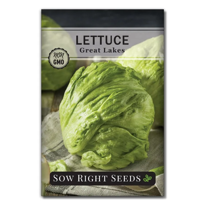 Lettuce, Great Lakes Premier 2 Grams - Image 2