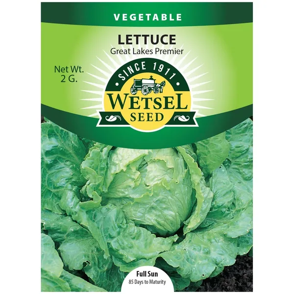 Lettuce, Great Lakes Premier 2 Grams
