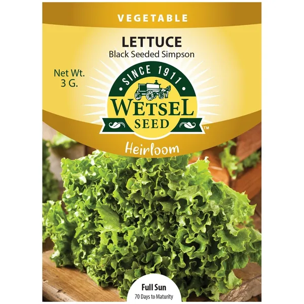 Lettuce, Heirloom Black Seeded Simpson 3 Grams