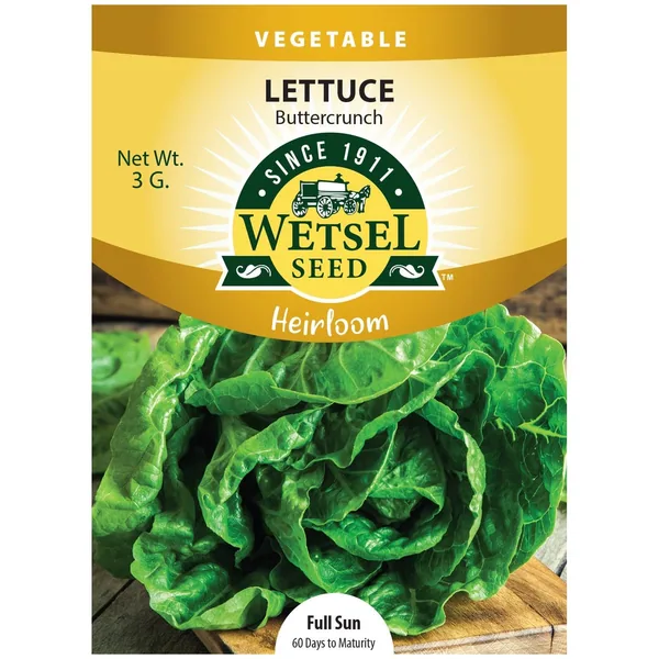 Lettuce, Heirloom Buttercrunch 3 Grams