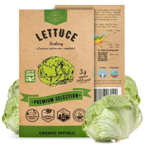Lettuce, Iceberg 3 Grams - Image 2