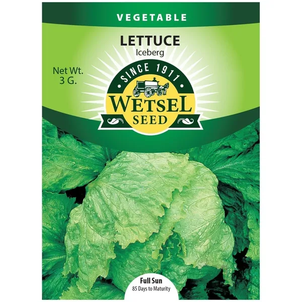 Lettuce, Iceberg 3 Grams