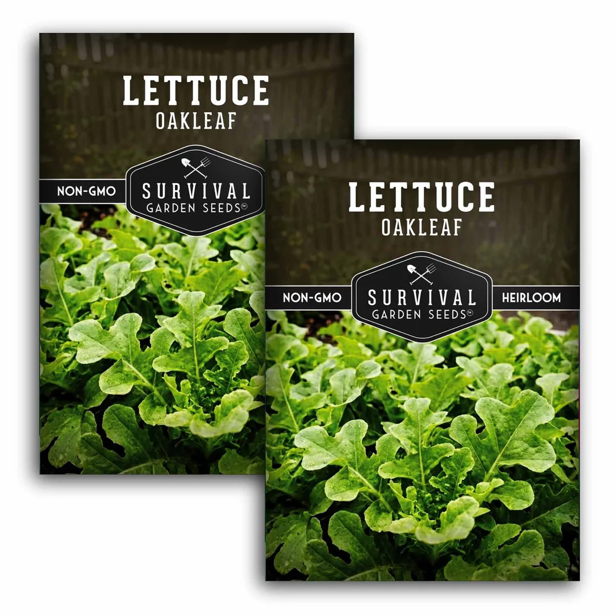 Lettuce, Oakleaf 3 Grams - Image 2