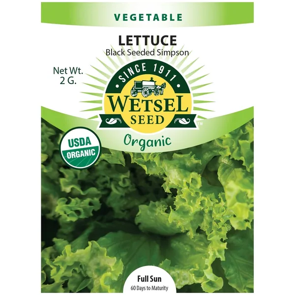 Lettuce, Organic Black Seeded Simpson 2 Grams