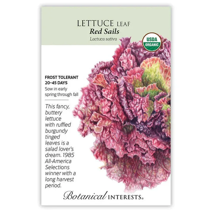 Lettuce, Red Sails 2 Grams - Image 2