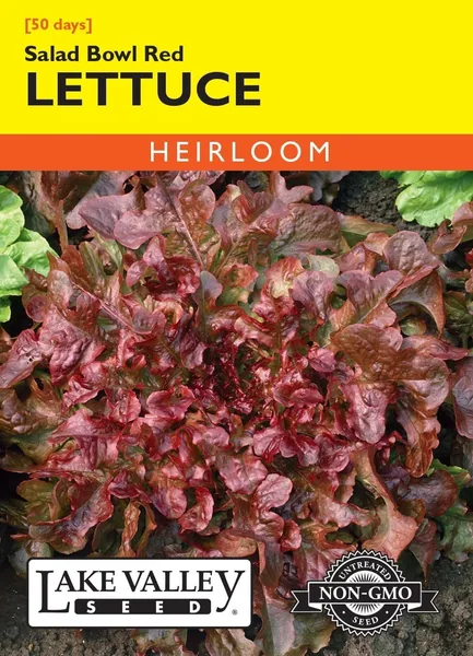 Lettuce, Red Salad Bowl 50 lbs