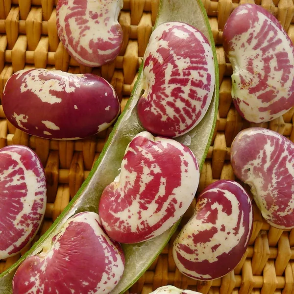Limas, Red Speckled Pole