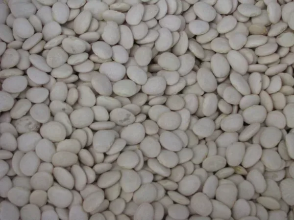 Limas, White Henderson 1/2lb - Image 2