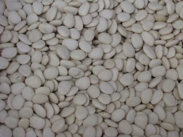 Limas, White Henderson 1lb