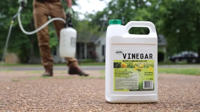 Liquid Harvest 32oz 20% Vinegar Ready to Use - Image 2