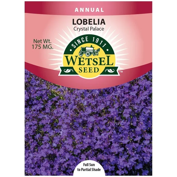 Lobelia, Crystal Palace 175mg