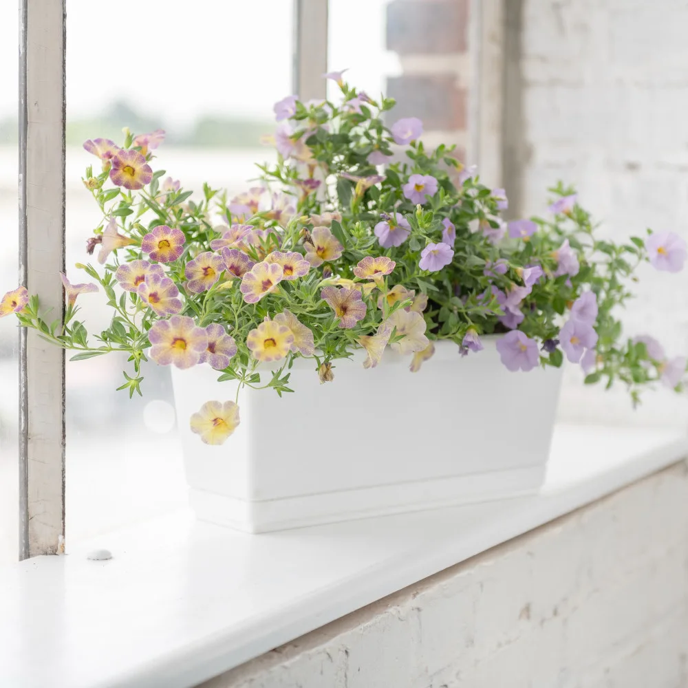Majestic 12" WindowSill White - Image 2