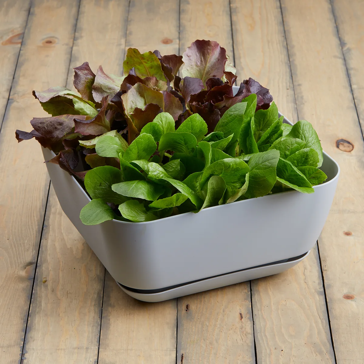Majestic Gdn Planter Grey 12"x12" Square Matte - Image 2