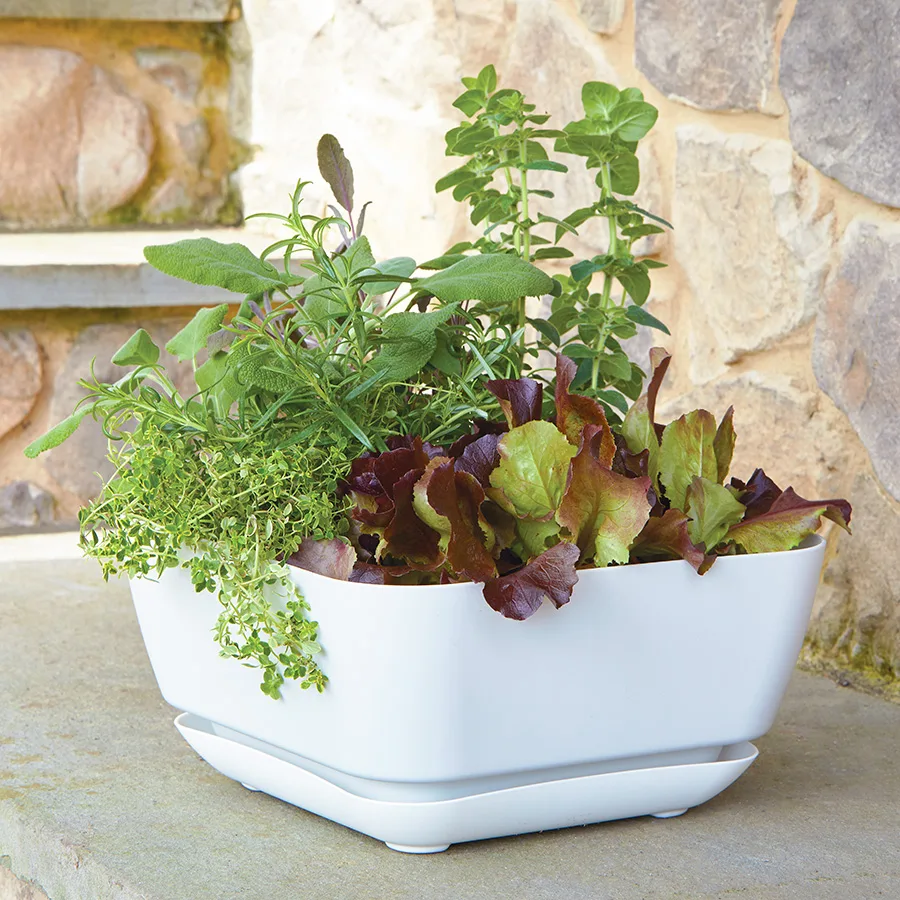 Majestic Gdn Planter White 12"x12" Square Matte - Image 2