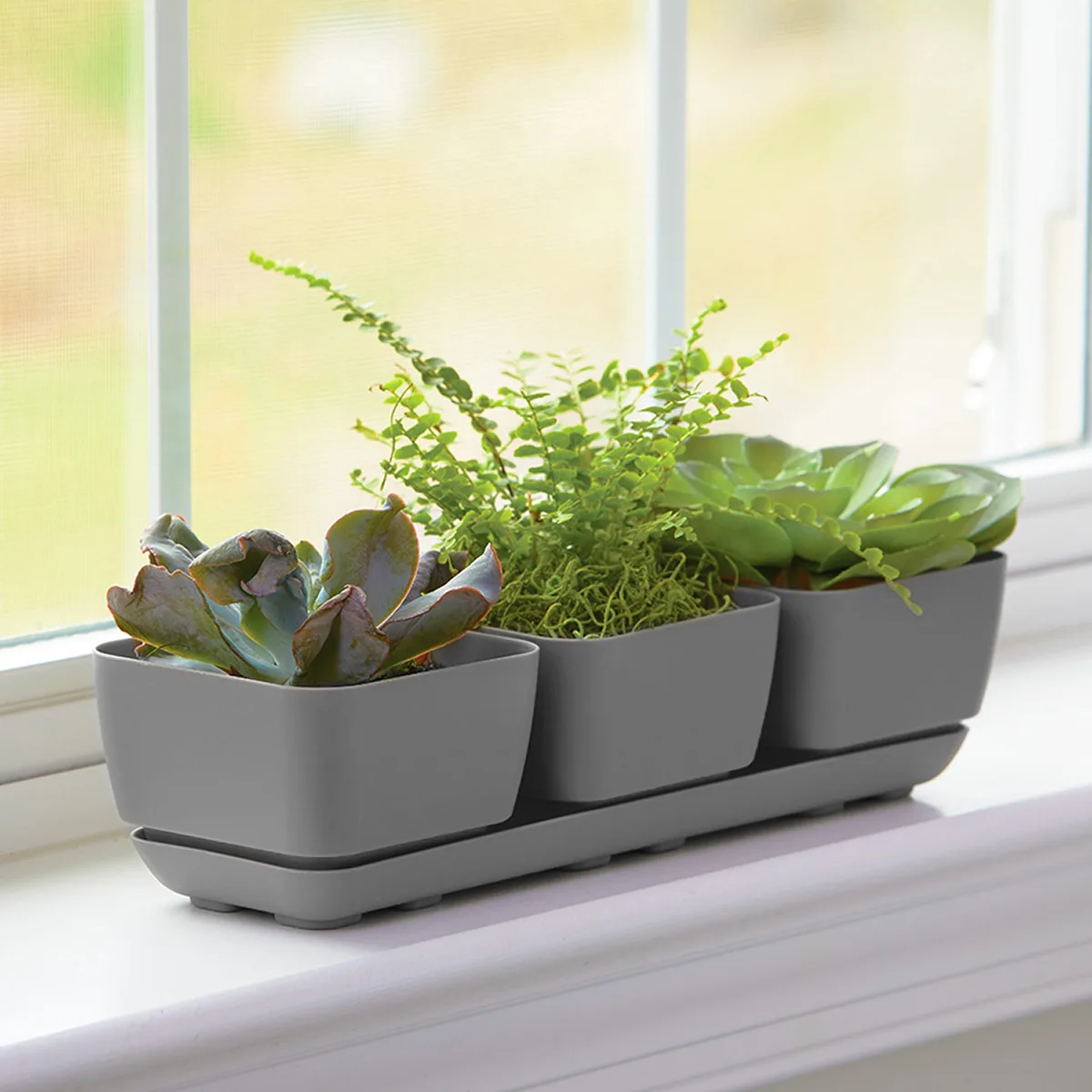 Majestic Trio Planter Grey Herb & Succulent Planter - Image 2