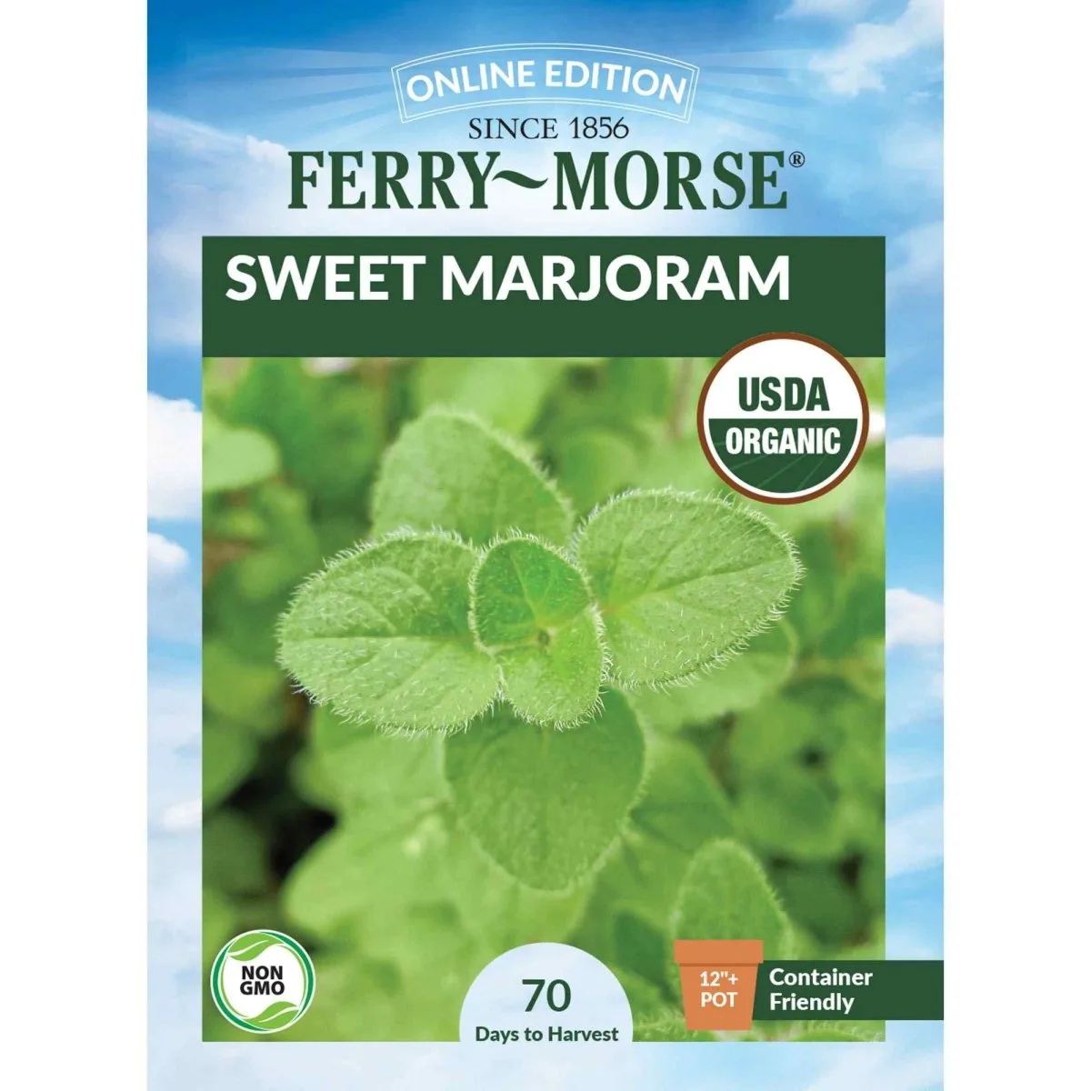 Marjoram, Sweet 175mg - Image 2