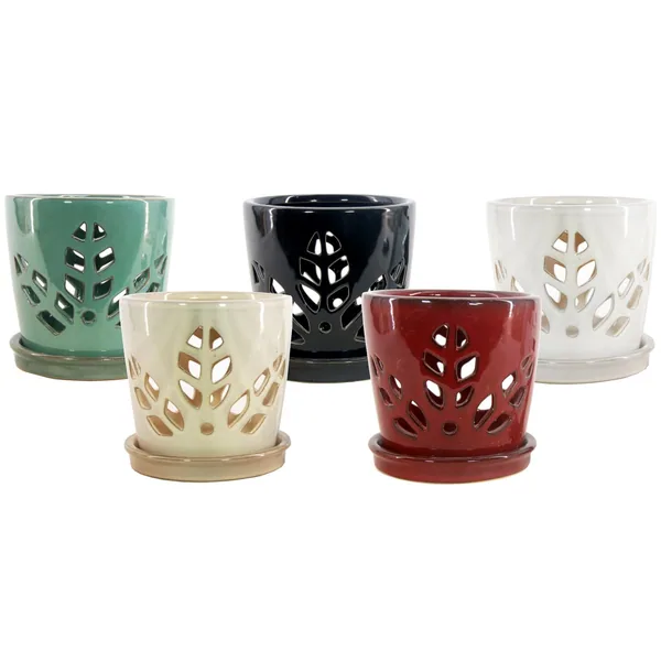 MCarr 12PC 5.5" Round Leaf Orchid Pot Mixed Asst (Case of 12)