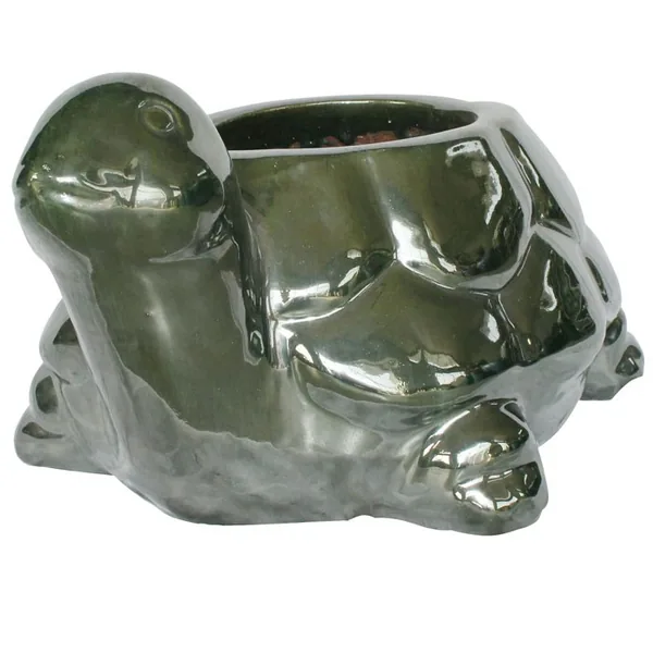 MCarr 13.4" Turtle Planter Falling Green