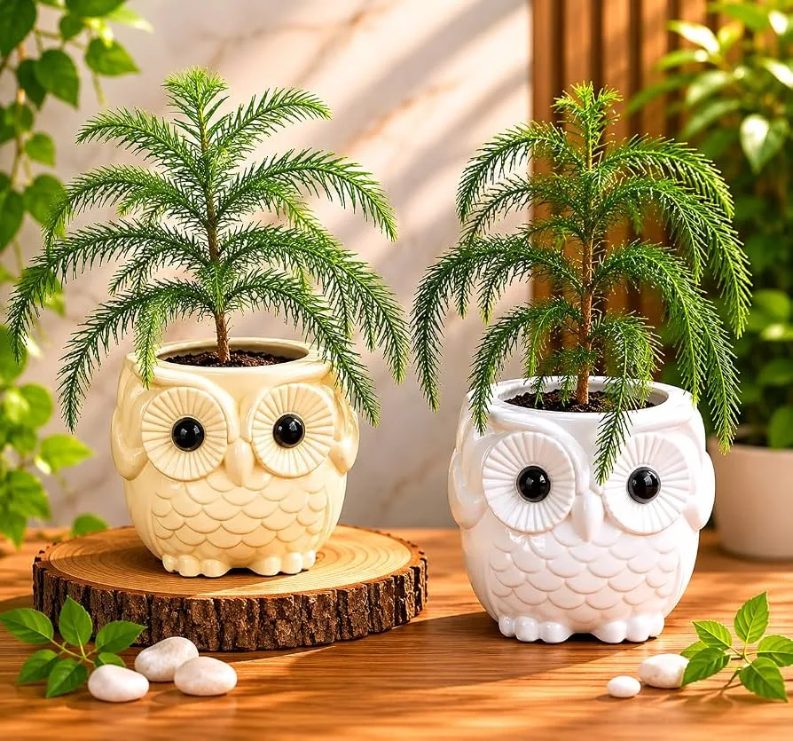 MCarr 18" Owl Planter Light Cream - Image 2