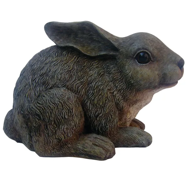 MCarr Baby Rabbit