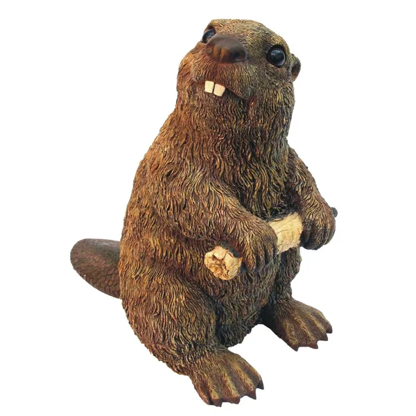 MCarr Beaver Medium
