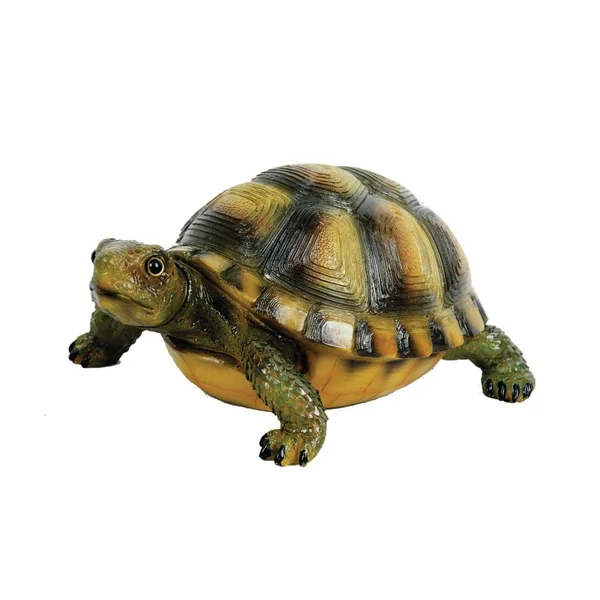 MCarr Desert Turtle