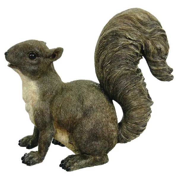 MCarr Frisky Squirrel