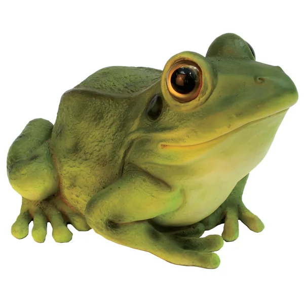 MCarr Frog