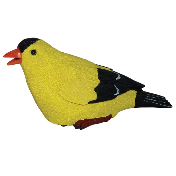 MCarr Goldfinch Chirper